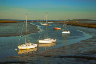 JIU YOU GAME-兴隆湖上演“国际艇战”，多国精英争锋