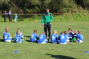 九游官网下载app下载-替补席能否发挥稳定战术执行能力影响赛季后期，替补席是什么意思